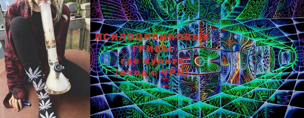 гашик Балахна